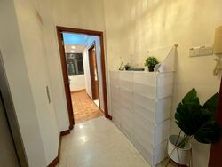 The Mayfair (D22), Condominium #531278741